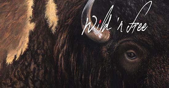 Wild n Free Gala and Art Auction