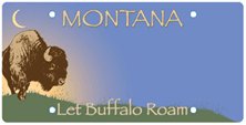 buffalo field campaign montana license plate