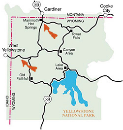 Yellowstone National Park Buffalo Migration Route