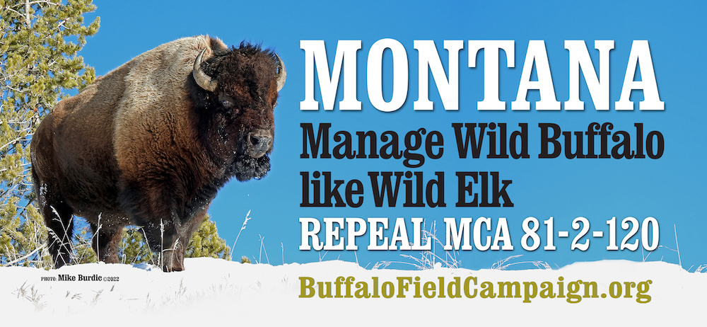 Buffalo Field Campaign Billboard Helena Montana