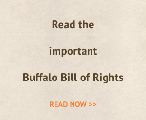 buffalo bill of rights orange