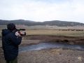 Field BFC02