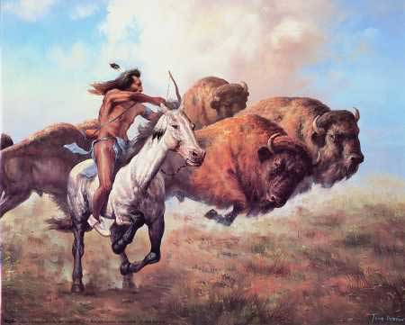 what were buffalo used for