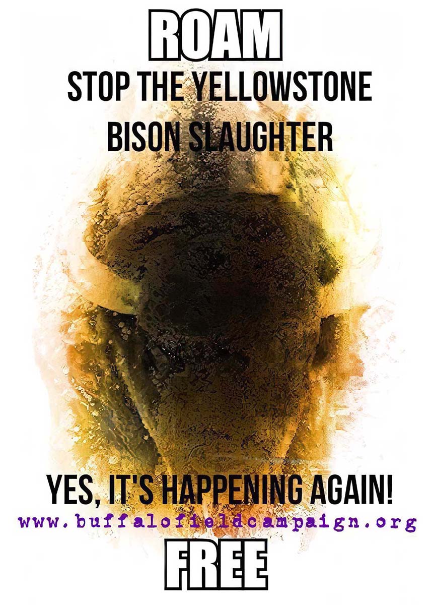 Yes Its happening again