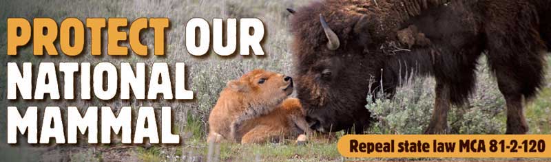 Protect Our National Mammal Billboard