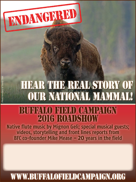 news 2016 08 25 001 buffalo field campaign road show 2016 poster color h700