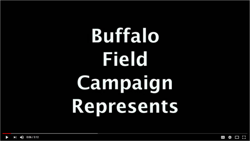 2017 12 07 03 001 BFC Video 800