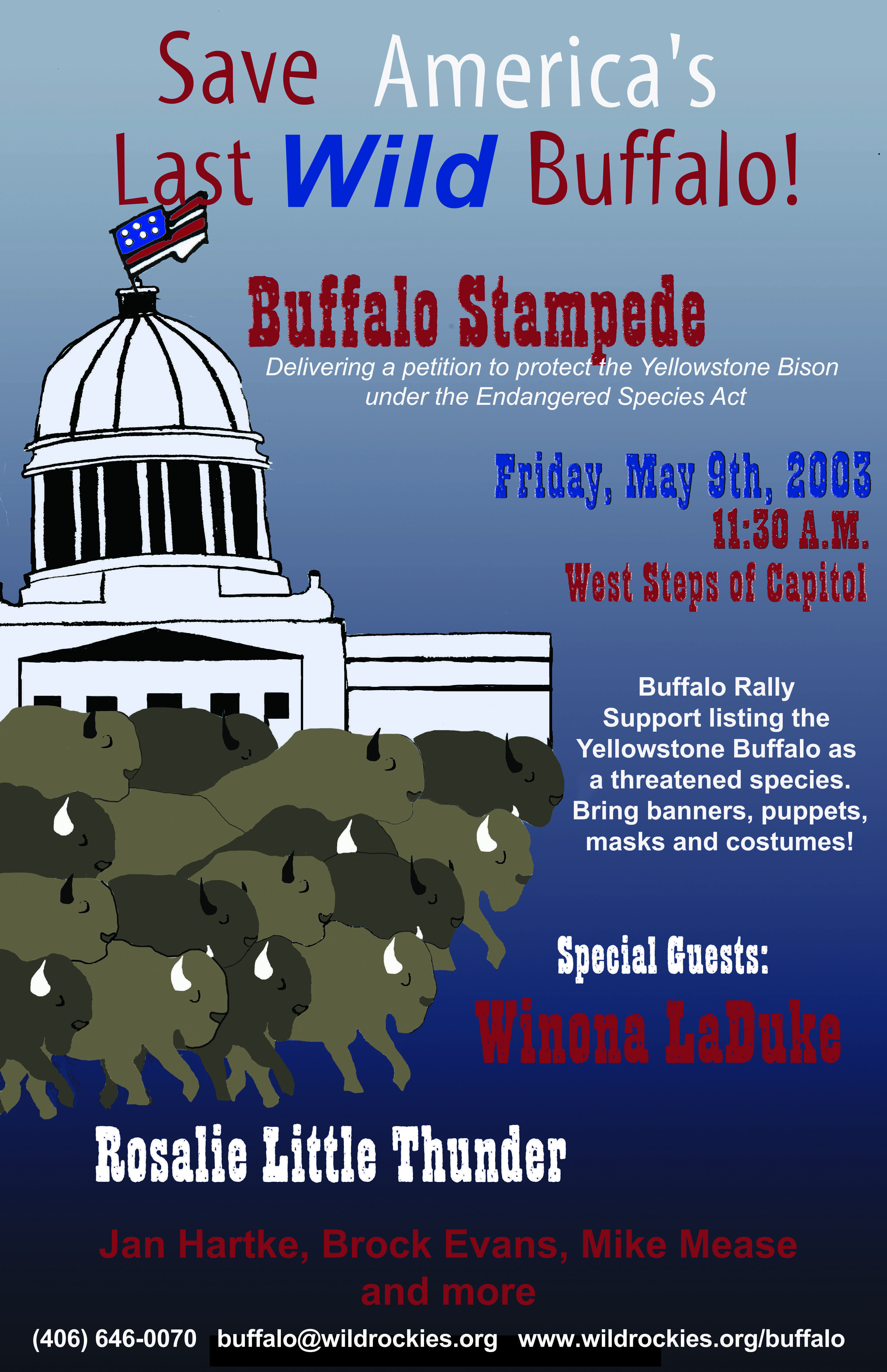 Bfc Rosalie Little Thunder Buffalo Stampede Flyer May 09 2003