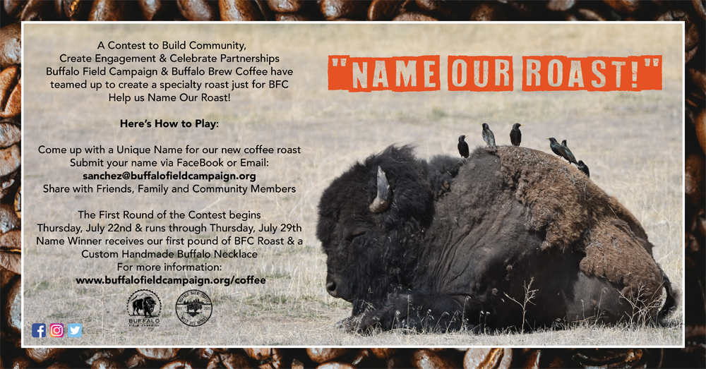 bfc buffalo brew Facebook Twitter Banner Announcement