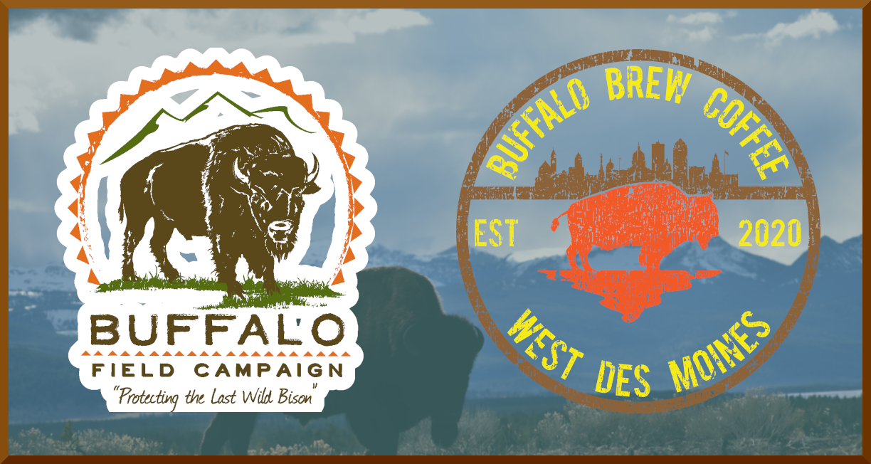 bfc buffalo brew Facebook Twitter Banner Announcement