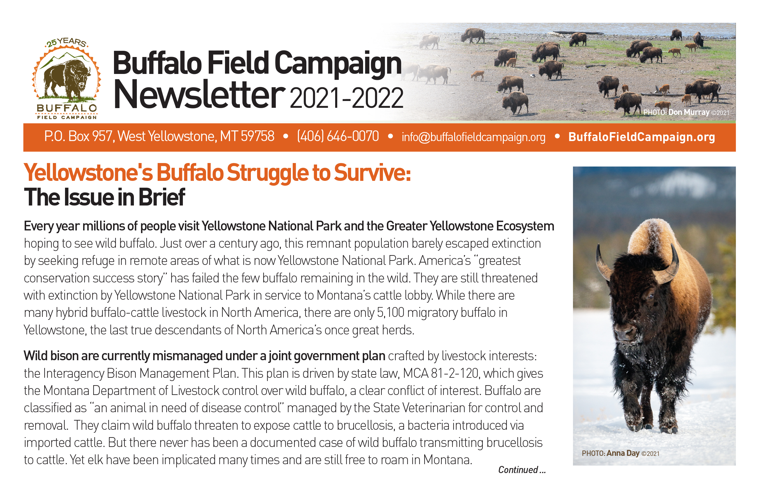 bfc newsletter 2021 2022 cover