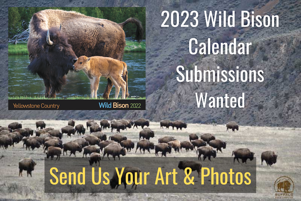 2023 Wild Bison Calendar Submissions