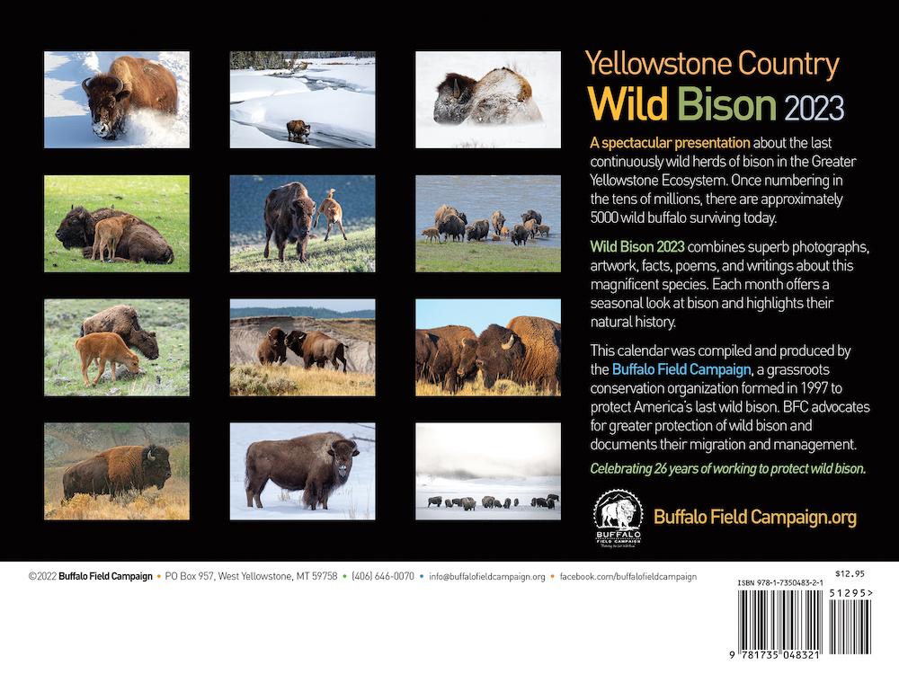 2023 Wild Yellowstone Bison Calendar