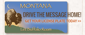 montana license plate