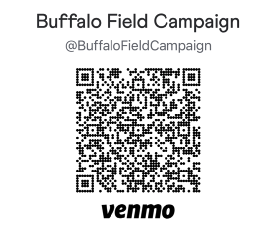 bfc venmo