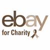 eBay for Charity