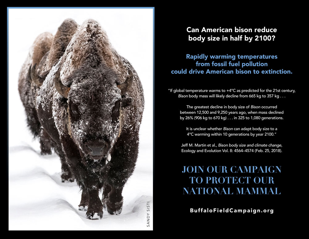 Endangered Species Protection Endangered Species Protection