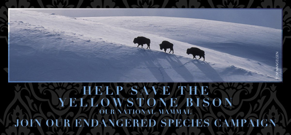 bfc endangered species protection slider 600