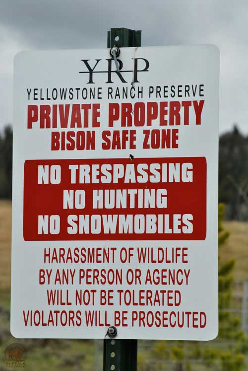 yellowstone ranch preserve private property bison safe zone