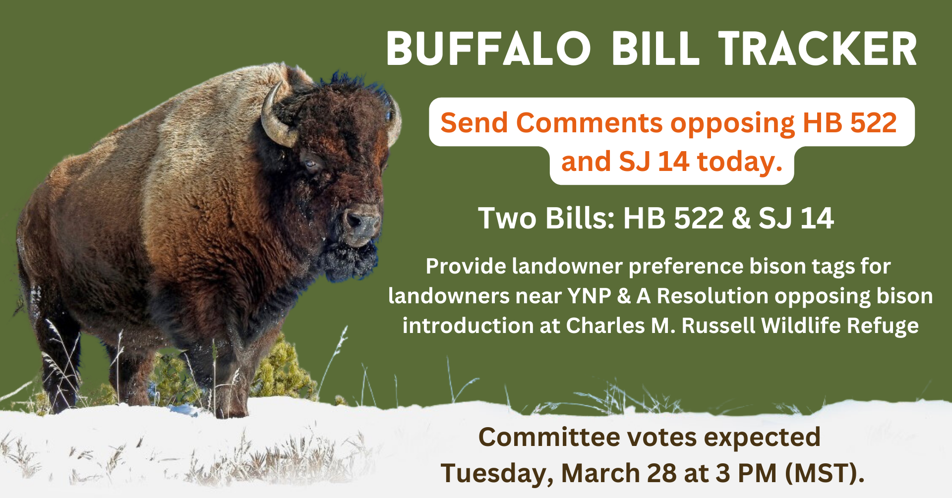 bfc buffalo bill tracker banner